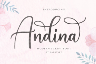 Andina Script: A Modern Script Font for Elegant Design