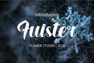 Fuister Script: A Bold Handwritten Font for Modern Brands