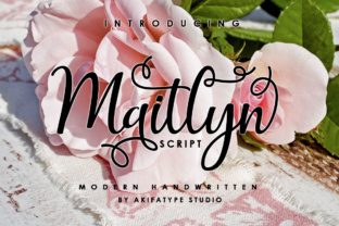 Maitlyn Script: Vintage Charm Meets Modern Legibility
