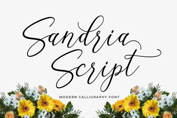 Sandria Script: A Trendy Font for Feminine Branding