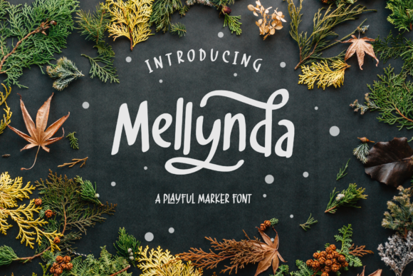Unlocking Playful Elegance: The Mellynda Script Font