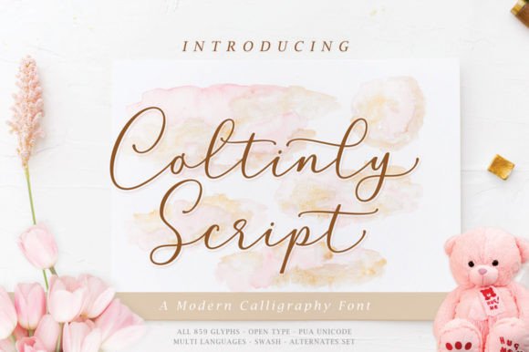 Why Coltinly Script Feels Like Handwritten Art